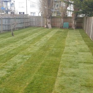 Roll on Turf Lawns Croydon