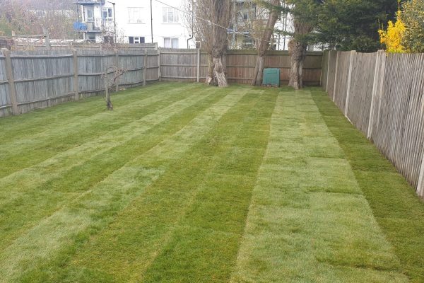 Roll on Turf Lawns Croydon